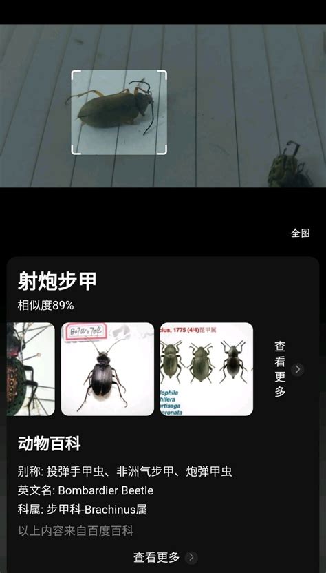 照片查魚|动物识别软件/鸟、鱼、昆虫拍照在线识别